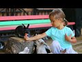 Pets in Spanish | Spanish Learning for Kids