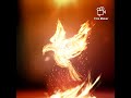 Tongues of Fire 🔥| Ps. Finny stephen Samuel | Part-2 |Spirit filled Devotional|