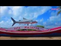 Sights and Sounds, Isla Mujeres (island tour #3)