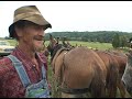 Tennessee 20 Mule Team - Hauling Logs