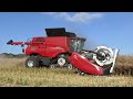 Case IH 9260 Axial-Flow with 50ft. wide MacDon FD250 Header harvesting Canola | Harvest 2024