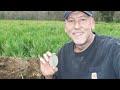 Metal Detecting Virginia - Colonial Relics - Queen Anne 1665 - 1714