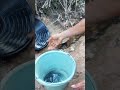 Sand sieving to filter gold