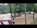 Crazy Flash Flooding Video from Boulder Creek -  Boulder Colorado Near Arapahoe and 30th