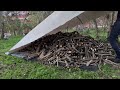 Gardening work in the village / Hazelnut garden pruning / Preparation of firewood for winter