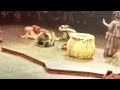 Festival of the Lion King Disneyland Part 1 Gala By Carpenter-O