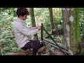 Full Video| Survival in the Forest - Building Tree Houses, Bamboo Houses, Under Heavy Rain.
