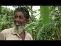 নৌকা বানিয়ে জীবন চলে পিরোজপুরের গ্রামে গ্রামে | Pirojpur | Panorama Documentary