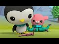 Octonauts: Above & Beyond - Bugs & Reptiles | Land Adventures | @Octonauts