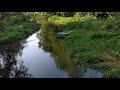 Start-up of an old francis water turbine