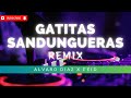 GATITAS SANDUNGUERAS (REMIX) | FEID x ALVARO DIAZ | SAYONARA (Album) | Remix 2024