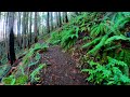 Virtual Treadmill Walking - Trail with Rivers and Waterfalls - Columbia George National Scenic Area