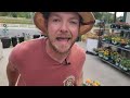 Garden Center Tour |Awe-Inspiring Plant Ideas!|