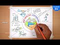 World Food Day Poster Drawing / Eat Healthy Stay Healthy project chart
