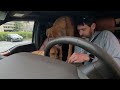 Ridgebacks begging for treat in drive thru