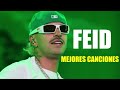 Feid Mix Exitos  2024 - LAS MEJORES CANCIONES DE Feid - Lo Mas Nuevo  2024