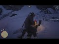Sean McGuire sent me on a drill -RDR 2