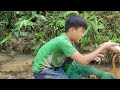 The boy went to the stream and met school of migrating carp,caught them and sold them at the market