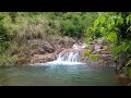 Calming Sound of Mountain River, Amazing nature sounds, Babbling brook, Flowing Water, Forest Sound