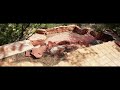 Cabin within a Mountain - Sedona Arizona