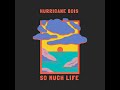 Hurricane Bois - So Much Life