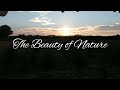 Welcome to The Beauty of Nature