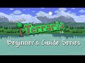 Housing Basics (Terraria 1.4 Beginner's Guide Series)