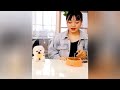 Cute Pomeranian Puppies Doing Funny Things #3 | Cute and Funny Dogs | VN Pets