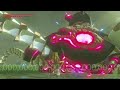 What is the RAREST occurrence in botw?