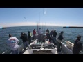 Charterboat Slammer, Rhett's speach on Black Rockfish
