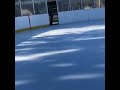 Vanossgaming  ice skating with I Am Wildcat