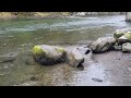 Is this the Best Spot on the Pacific Ocean shoreline?  Kalaloch Ruby Beach Ocean Fun