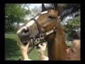 Horse Racing - 