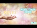 Reiki Healing   Healing Dogs and Cats with Sound Music