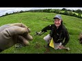 BRONZE AGE..ROMAN..HAMMERED COINS|metal detecting uk|#metaldetectinguk #treasure #xpdeus