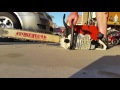 YouTube deleted this MS660 Chainsaw video