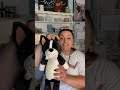 Unboxing Frankie the Frenchie, Leoni the Leopard and Tex the T Rex-Scentsy