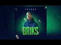 BRIKS - TEKOON  (OFFICIAL AUDIO) #music