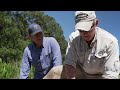 Season 4, Episode 2 – ‘Signature Species II’ | Full Episode | Coastal Kingdom