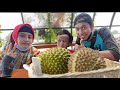 Wisata kebun durian di Gresik | King Goval Farm | durian fruit tour