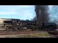 Australian Steam: 3642 & 6029 Southern Highlander & Garratt Homecoming