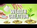 Wealth Creation | Motivational Message by Matthew Ashimolowo