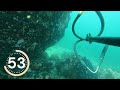 BIG SUR CA SPEARFISHING EP8 FT SHARK