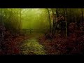 2 Hours Rain & Flute of North Americans. Native American Flute. Most amazing relaxing music & video!