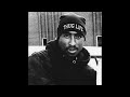 TUPAC x NAS TYPE BEAT 2024 (CALL OUT - WITH HOOK) Ghost8eats