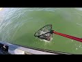 Jig Fishing / Late Summer Bass at Castaic Lake