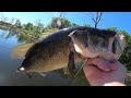 Fishing for Largemouth Bass in the summer