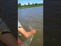 Unique Tools Fish Trap  Of Catching Lot Of Fish🐟🎣#shorts #viral #fishing