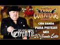 🎶El Coyote y Su Banda Tierra Santa💃 Mix 20 Corridos Con Banda Top