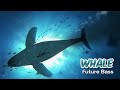 Whale// Future Bass// Easy Beat